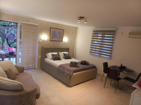 Apartments Stankovic